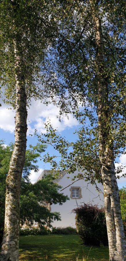 Bed and Breakfast Crown Roads Le Faouët Exterior foto
